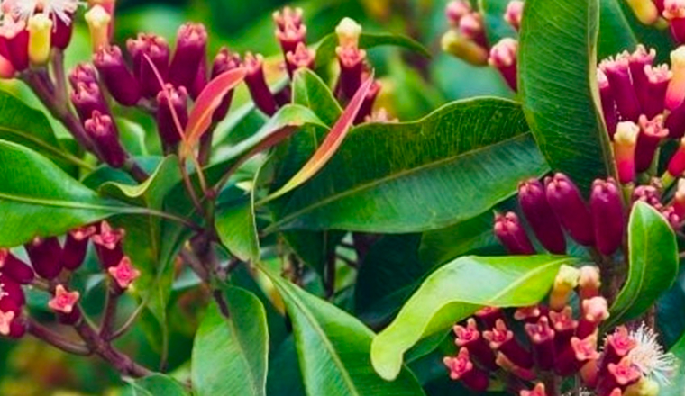 Lorem ipsum dolor sit amet