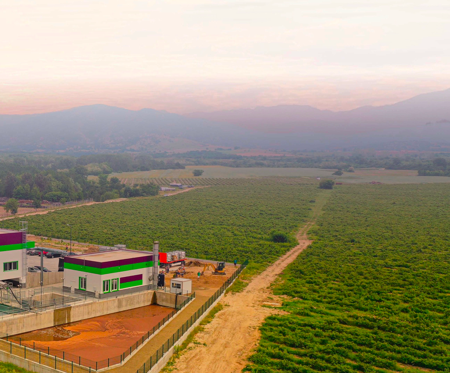 Vetiver Oil Haiti, M.D.