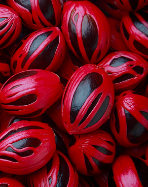 Lorem ipsum dolor sit amet